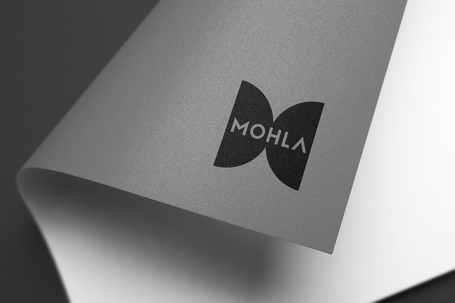 MOHLA人类博物馆品牌标志与VI设计